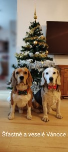 Kámoš vlevo z výcviku Maxmilián a jeho parťák