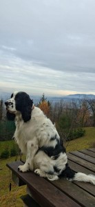 Zuru z Větrné paseky