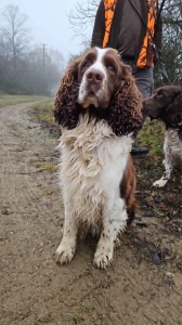 Syn po Yordanovi z Větrné paseky