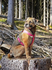 Raději to půjdu vyběhat ven!