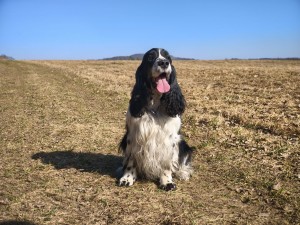 Nero z Větrné paseky - březen 2026