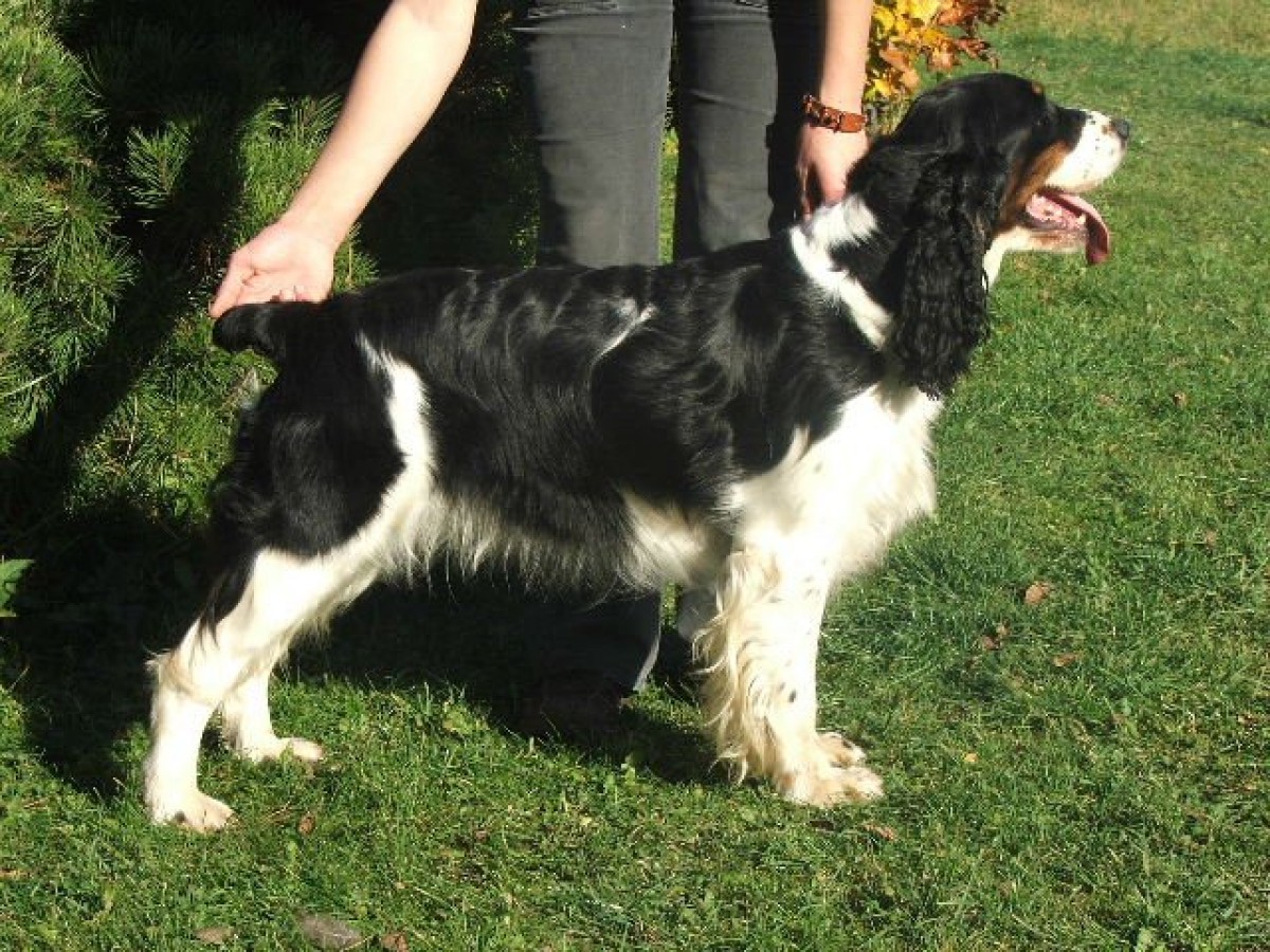 Rendy z Větrné paseky