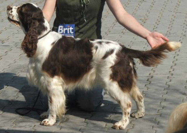 Uliana z Větrné paseky