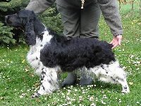 Karin z Větrné paseky