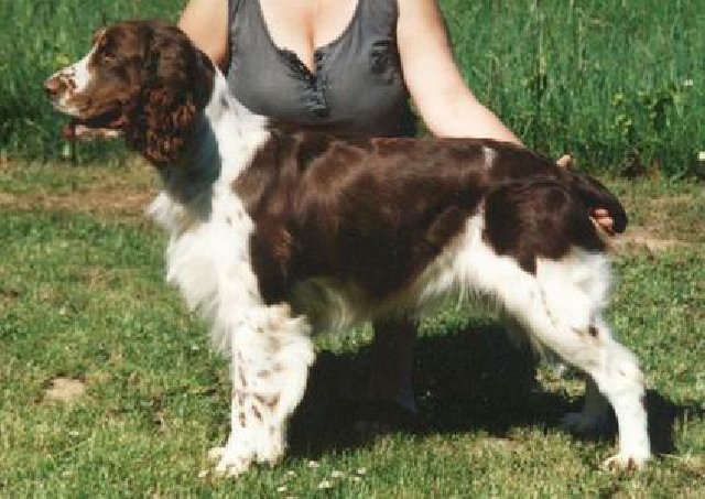 Jenny z Větrné paseky