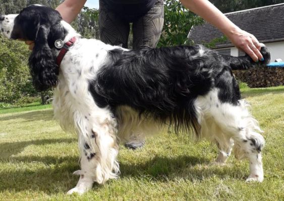 Ulrika z Větrné paseky