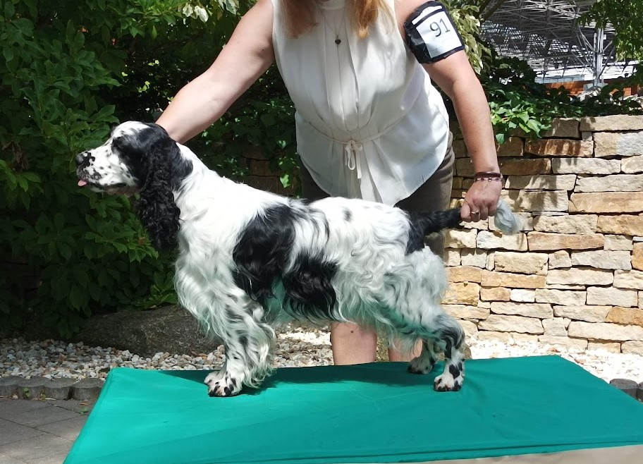 Brand New Day Tamaam