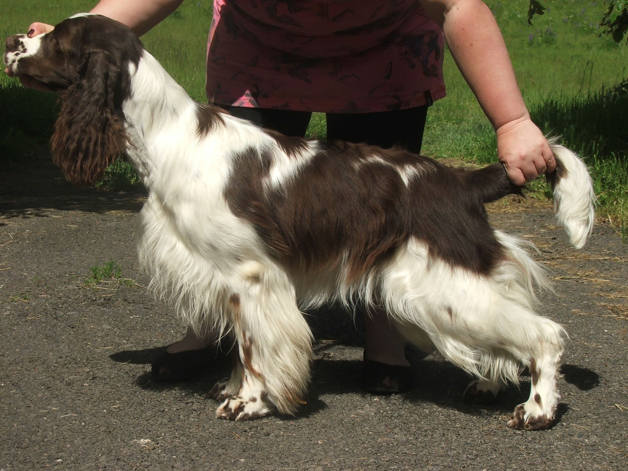 Werra z Větrné paseky