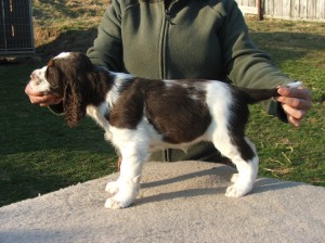 Isolda z Větrné paseky - věrná společnice celé rodiny