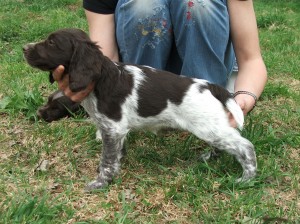 Lara z Větrné paseky - tragicky zahynula ve věku tří měsíců