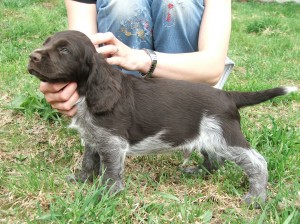 Lexy z Větrné paseky