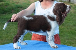 Famóso z Větrné paseky