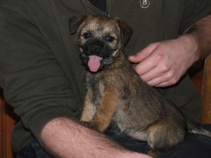 Diana Ostrý lovec - ztratila se při lovu