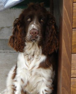 Endy z Větrné paseky