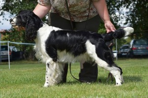 Polly z Větrné paseky - velmi dobrá, MVP Praha - výborná 3, FUCo neg., DKK A/A, PZ, BZ, BZH