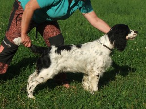 Perla z Větrné paseky