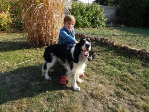 Swen z Větrné paseky - věrný společník