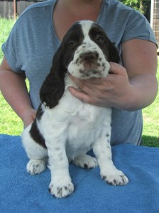 Uriana z Větrné paseky