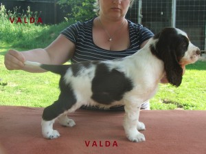 Valda - tragicky zahynul