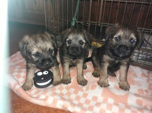 Foto čtyři týdny.