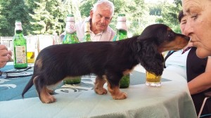 Ája (Tami) v novém domově