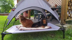 Ája (Tami) čtyři roky se svou starší kamarádkou.