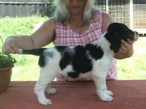 Xantos z Větrné paseky