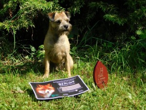 Maiky Ostrý lovec - ZN 84 b., 10 sekund, nejlepší ze sedmi psů