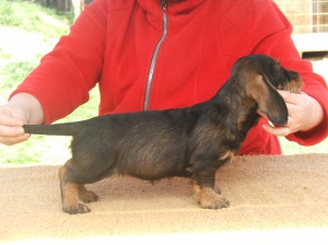 Debbie u Hříbečku