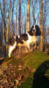 Ulaika z Větrné paseky - dva roky