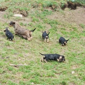 S maminkou řádíme