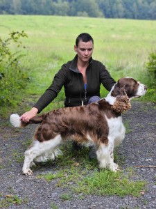 Yordan z Větrné paseky - CHOVNÝ PES, 2x výborný, 2x CAC, ZV I.cena Vítěz zkoušek, BZ I.cena Vítěz zkoušek, BZH I.cena, BZ o Pohár hejtmana Pardubického kraje - I.cena, 2, místo, ZVVZ I. cena, PZ I. c. Vítěz zkoušek, SVP - I. cena, LZ I. cena + BZ I.cena o