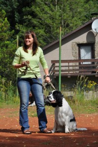 Zuru z Větrné paseky - složení o osvědčení povahových testů canisterapeutického psa