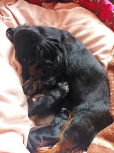 První den št. nar. 17.5.