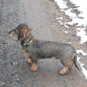 EBON u Hříbečku - BZ I. cena