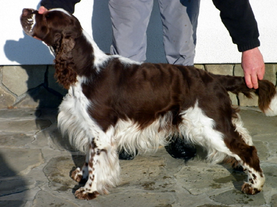 Exy z Větrné paseky