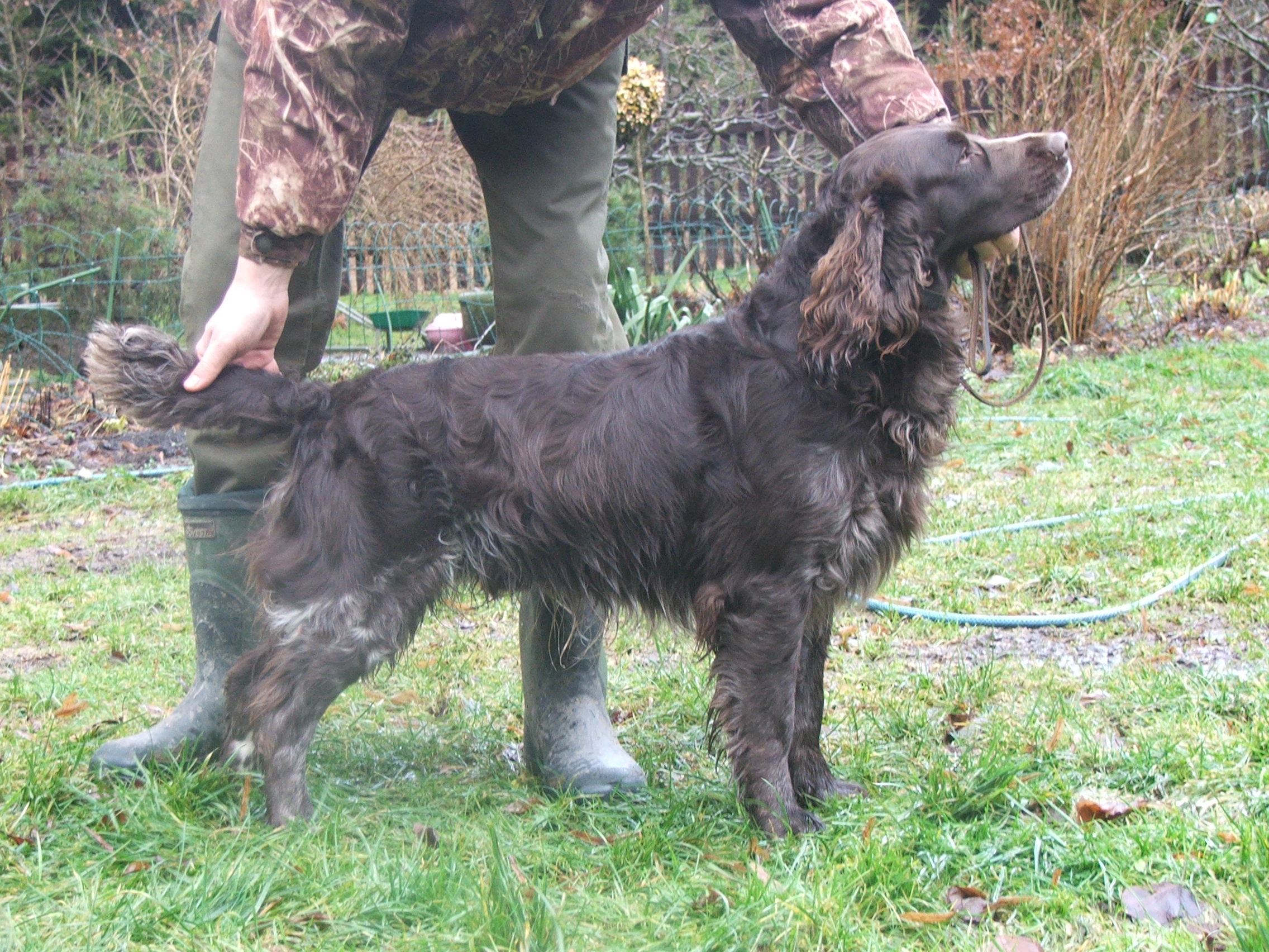 Bax z Roubíčkovy lhoty