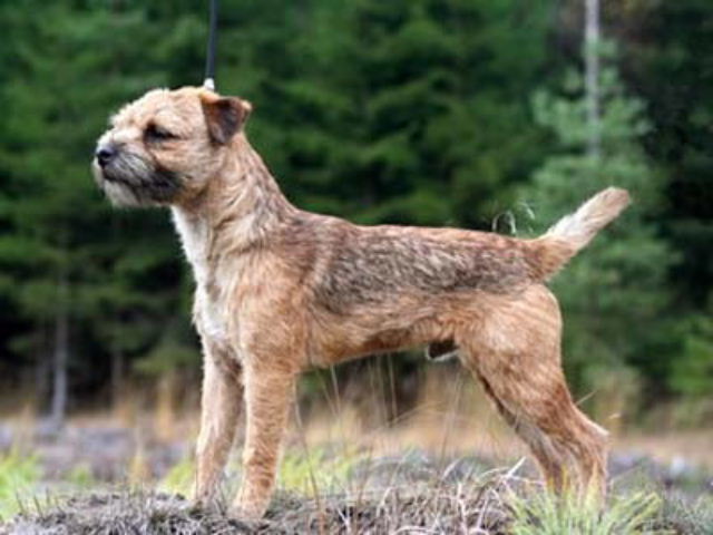 Sub Terram Business Tu Business