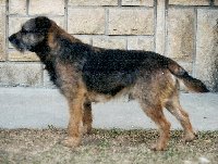 Alan z Vrchlabských končin