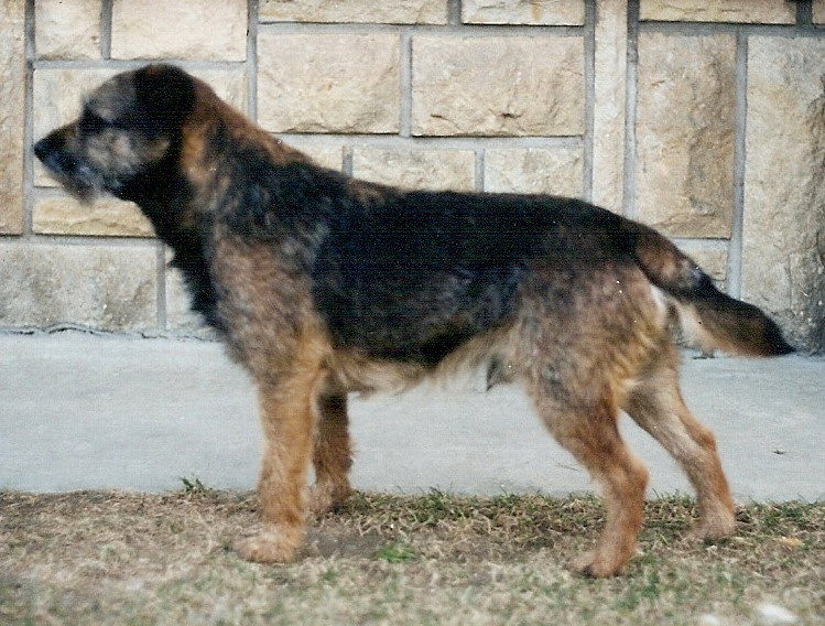 Alan z Vrchlabských končin