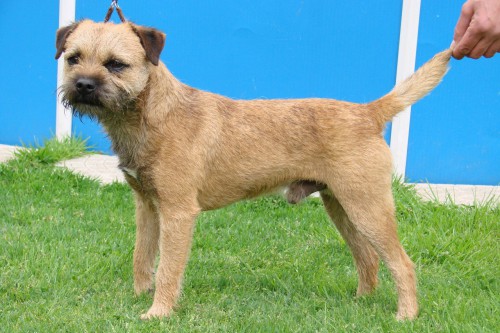 Zar ze Stružského dvora