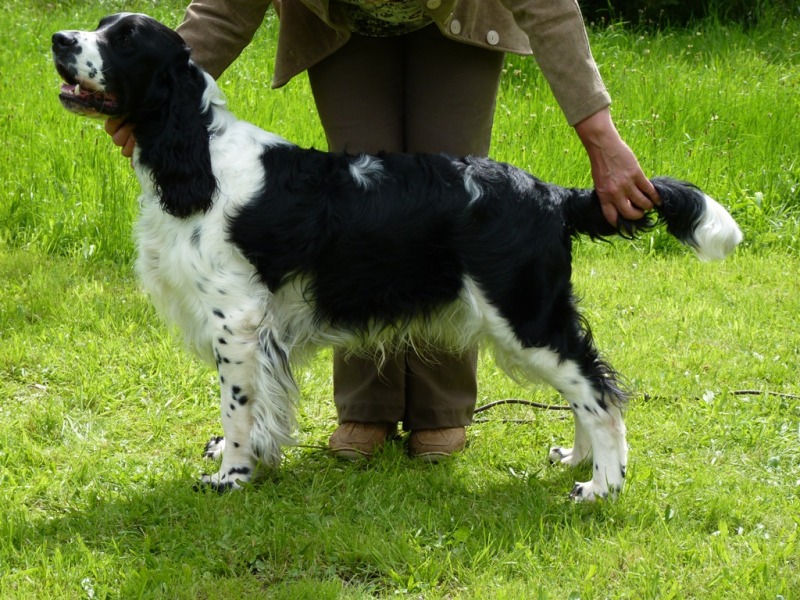 Hubert z Větrné paseky