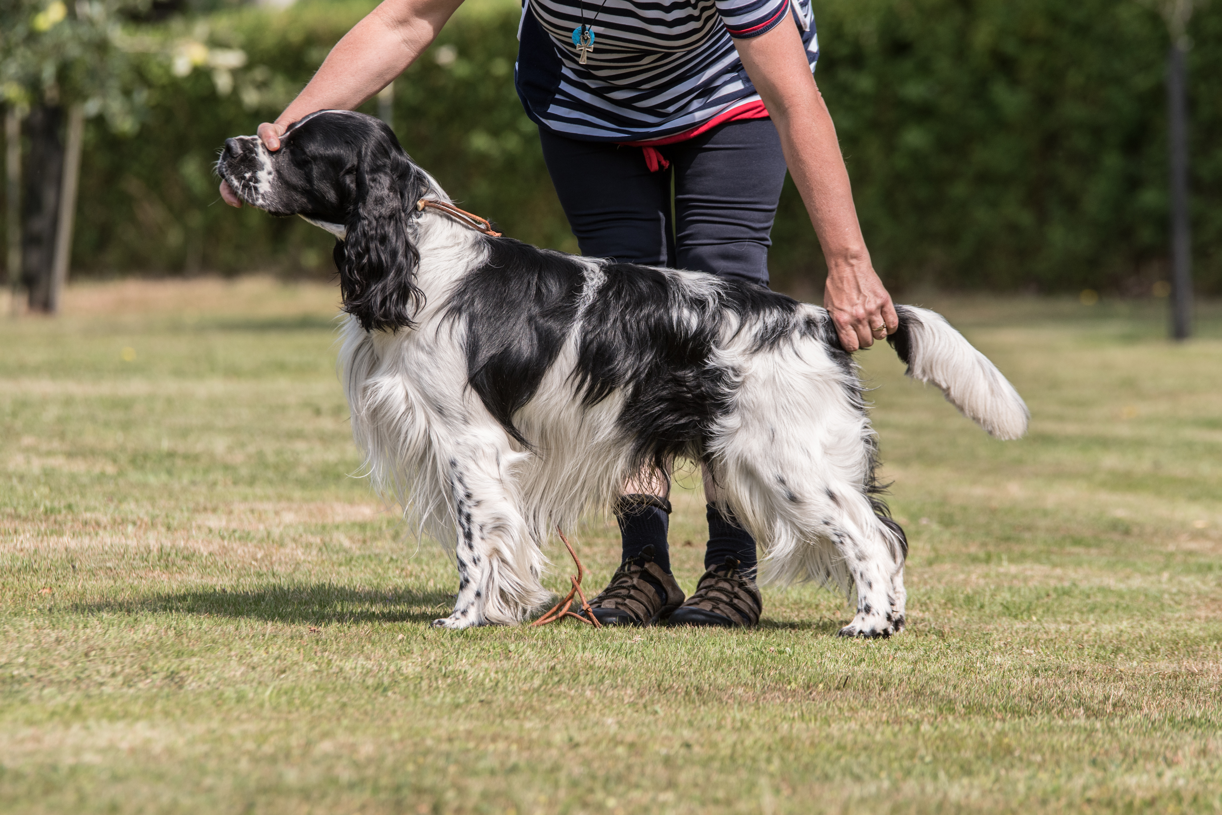 Godin z Lipových dolin