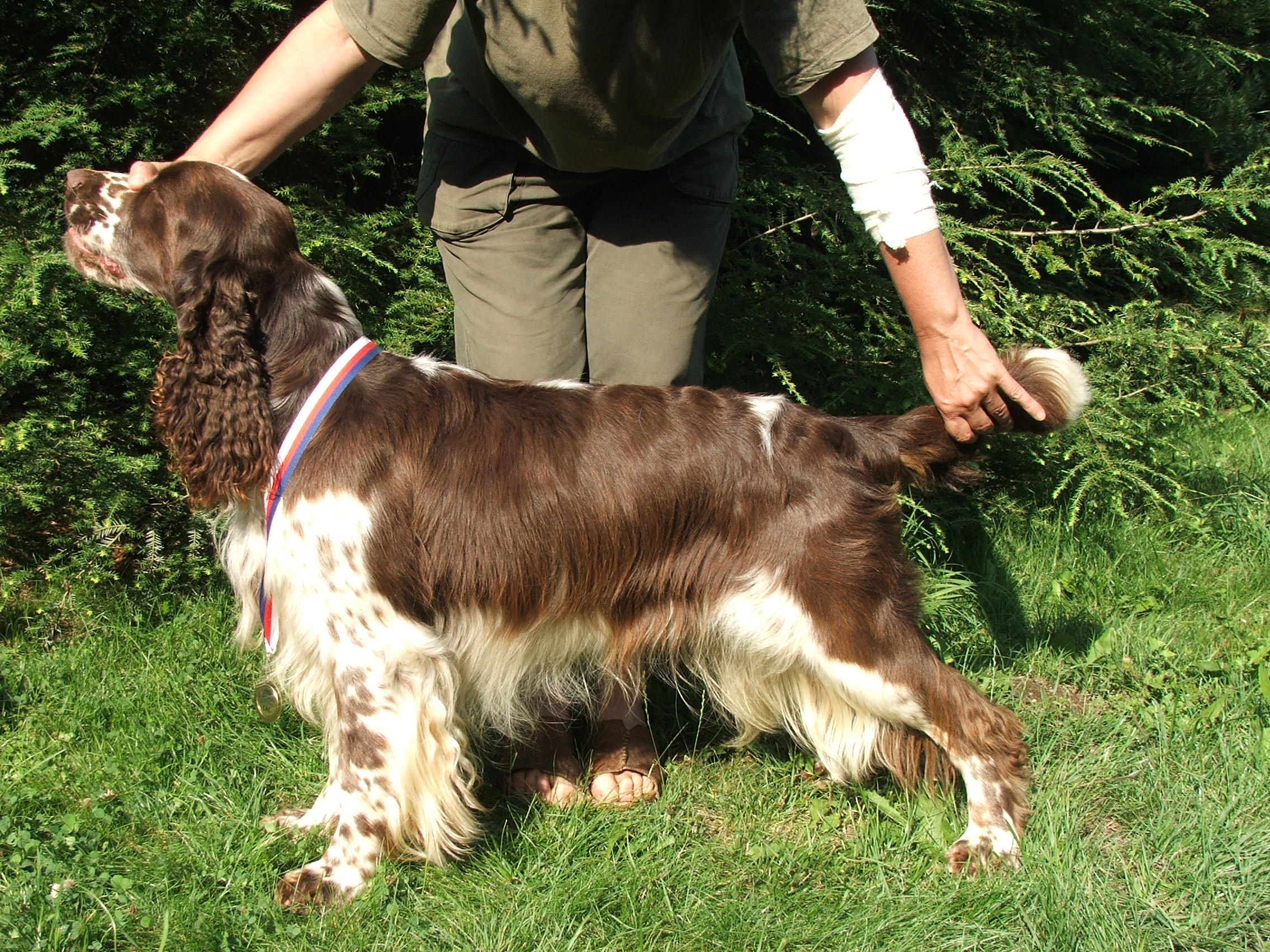 Giulian z Větrné paseky