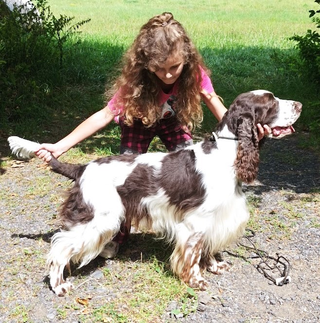 Zari z Větrné paseky