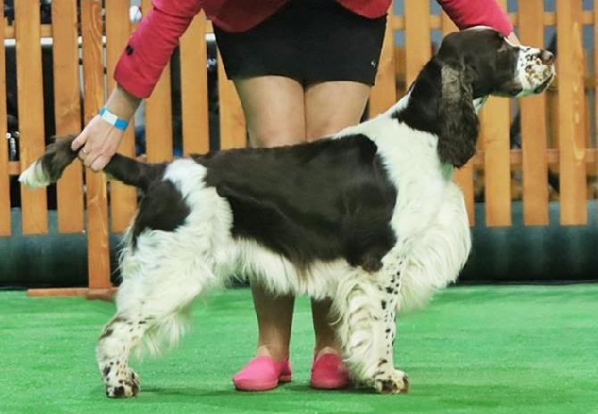 Xciting Xperience Lordsett